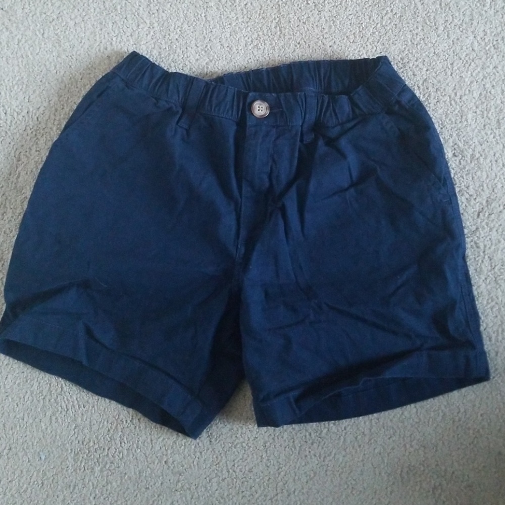 Chubbie's 5.5 inch Stretch Original Shorts
